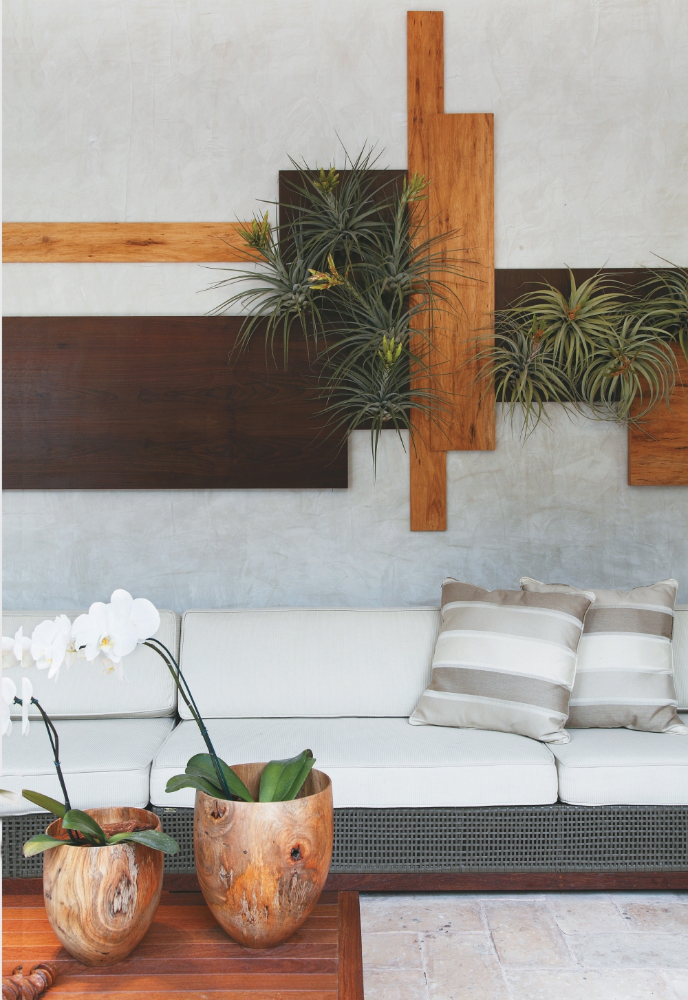 Jardim vertical: tudo o que você precisa para montar uma área verde na sua casa