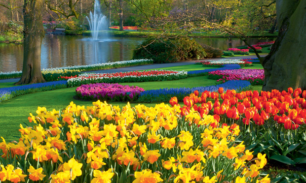 Rota das flores: Saiba como ficam os jardins do Hemisfério Norte na primavera