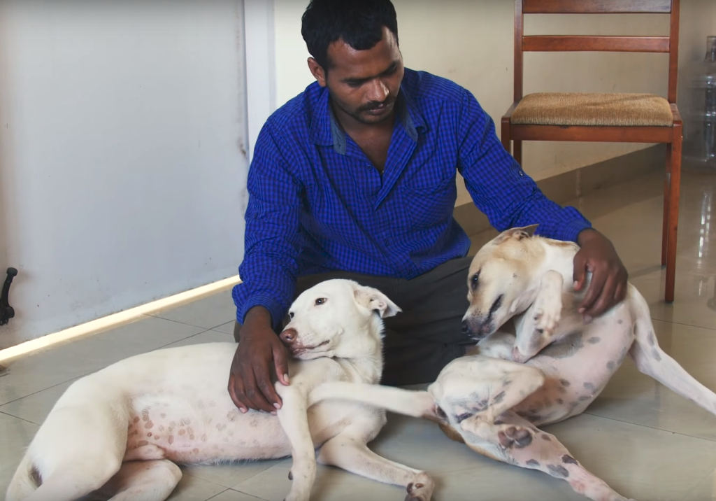 Conheça o homem que juntou dinheiro por 10 anos para comprar ambulância e salvar animais abandonados