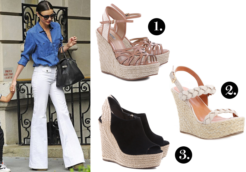 Reprodu&ccedil;&atilde;o