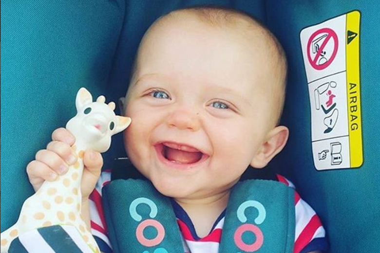 Pais descobrem fungo dentro de mordedor popular no mundo todo