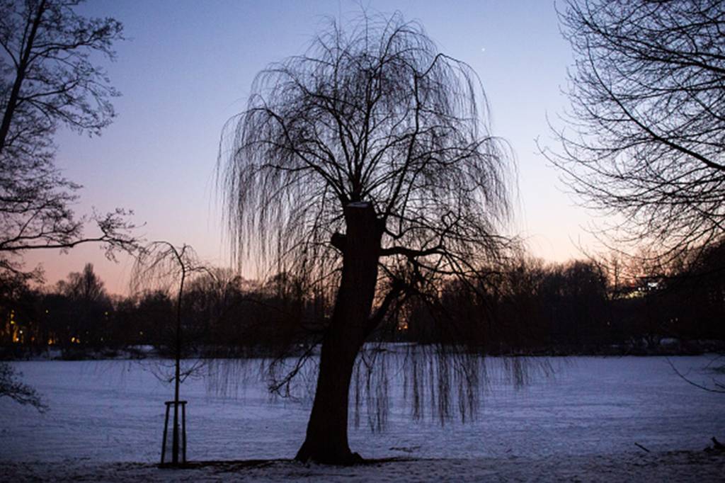 Minha cidade natal já não é mais a mesma cidade em que nasci