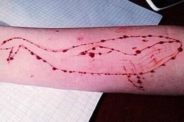 Curitiba emite alerta sobre ‘Baleia Azul’ após 5 casos na cidade