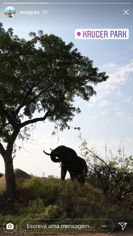 lua-de-mel-xandinho-nedr&atilde;o