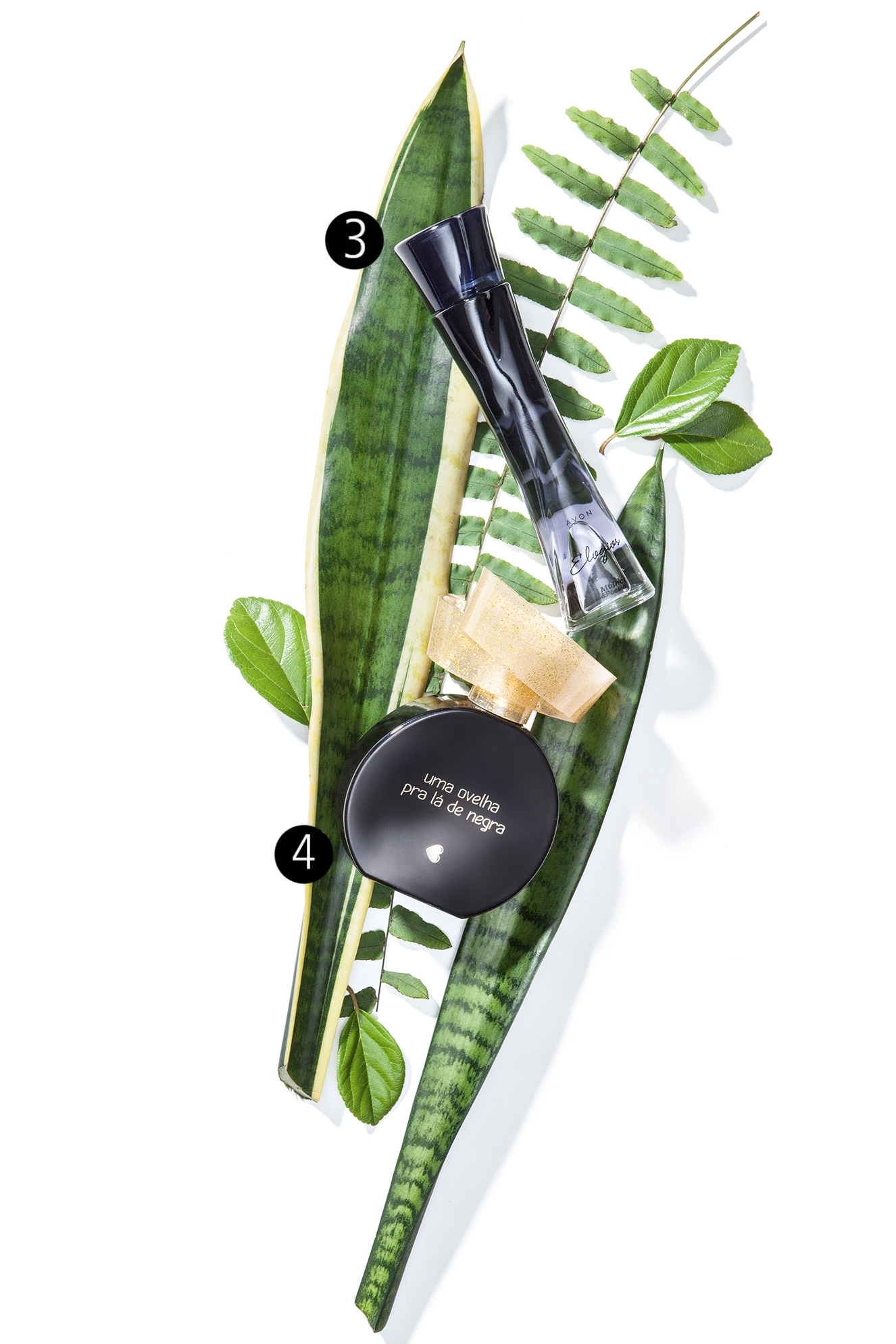 amadeirados-exoticos