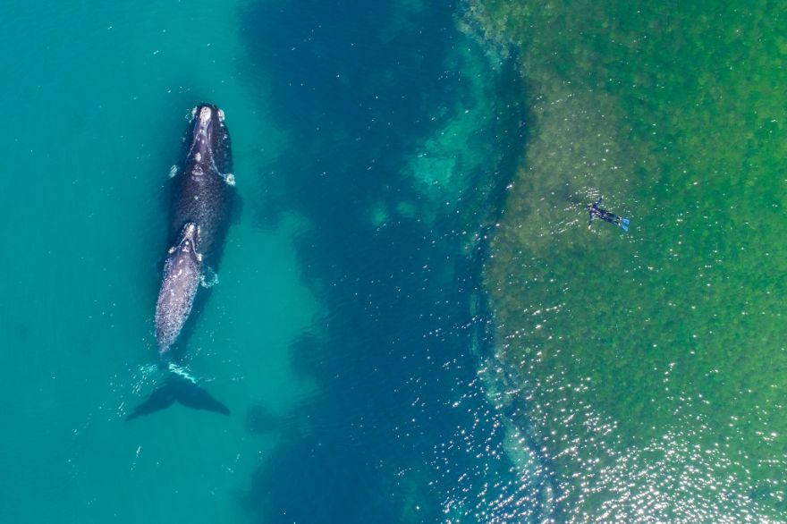 foto-drone4