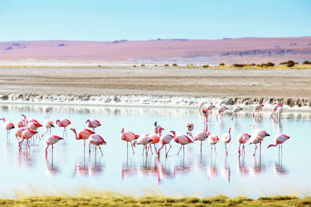O encontro com o infinito no Deserto do Atacama