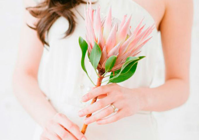 protea-buque-noiva-7 Buquê de protea para casamento