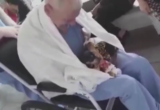 senhor-e-cachorrinha senhor-e-cachorrinha