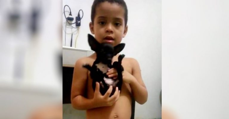 Criança oferece dinheiro de seu cofrinho para quem encontrar seu cachorro