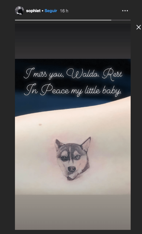 Sophie-Turner-tatuagem-para-cachorro Sophie-Turner-tatuagem-para-cachorro