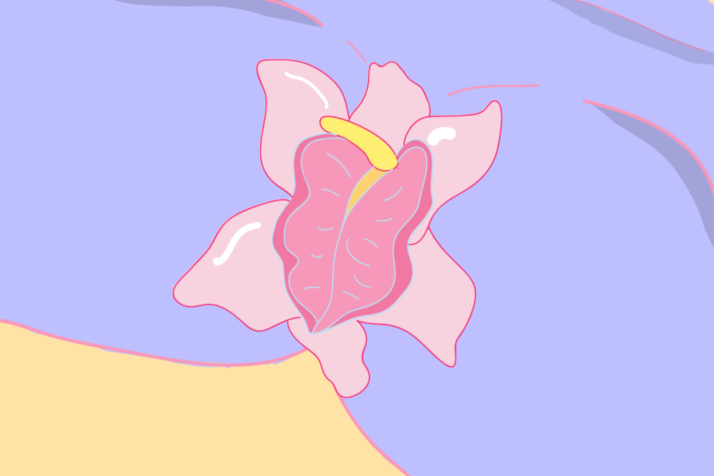 14 curiosidades sobre o clitóris, órgão feminino do prazer