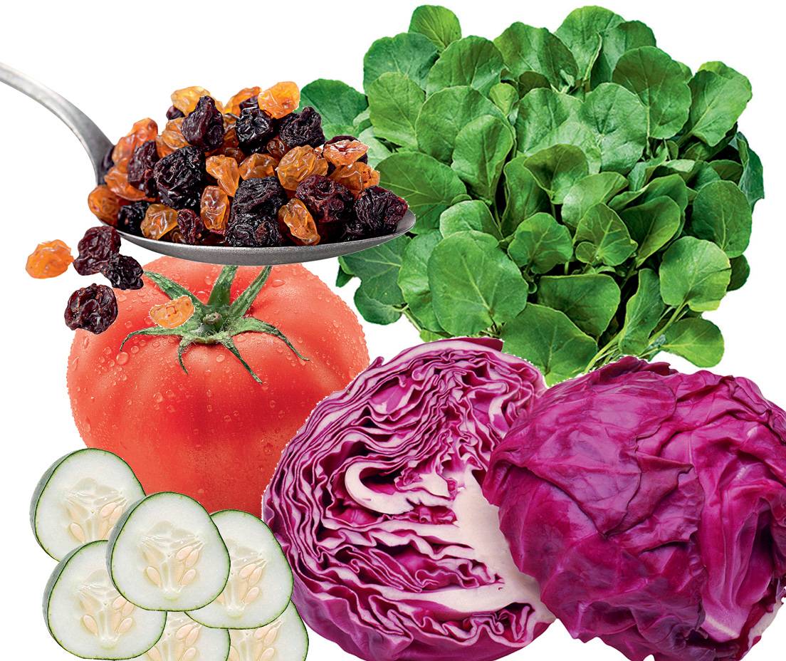 Divulga&ccedil;&atilde;o