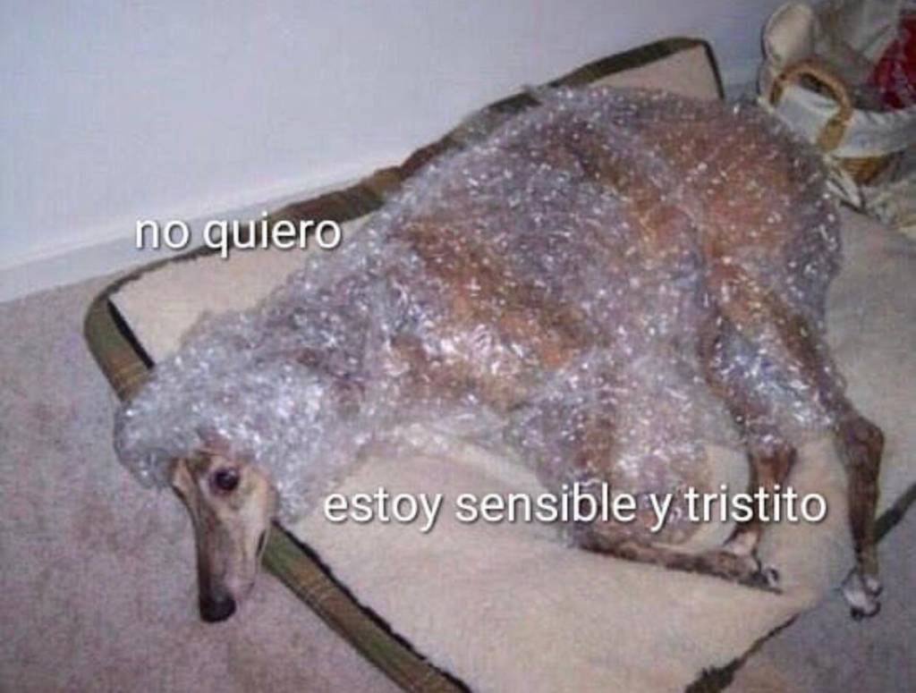 Memes de cachorros em portunhol Memes de cachorros em portunhol