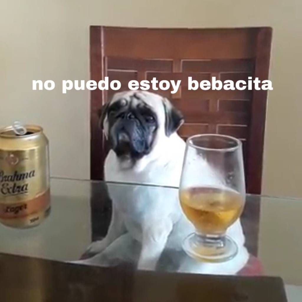Memes de cachorros em portunhol Memes de cachorros em portunhol