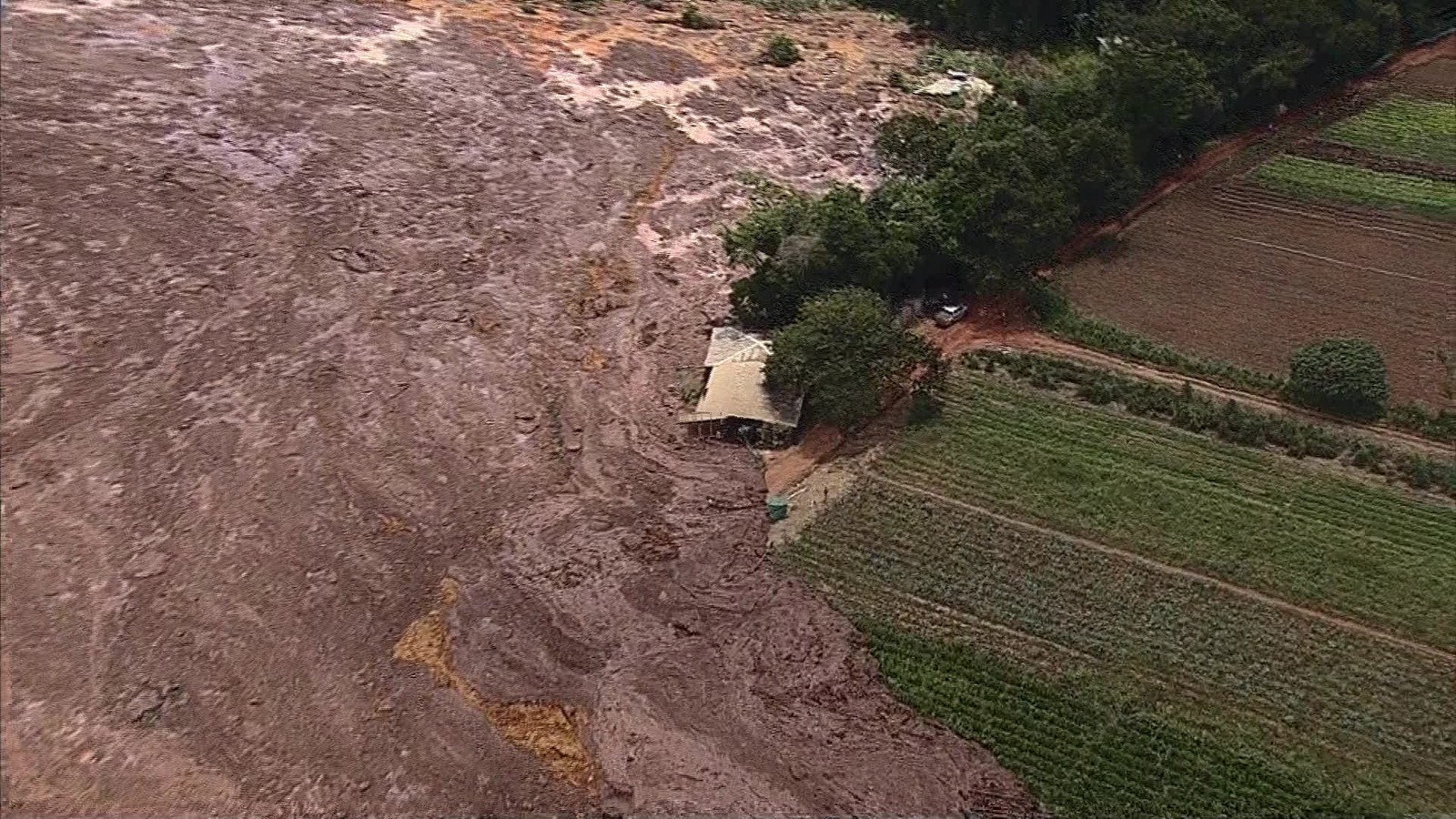 O que você pode fazer para ajudar as vítimas em Brumadinho