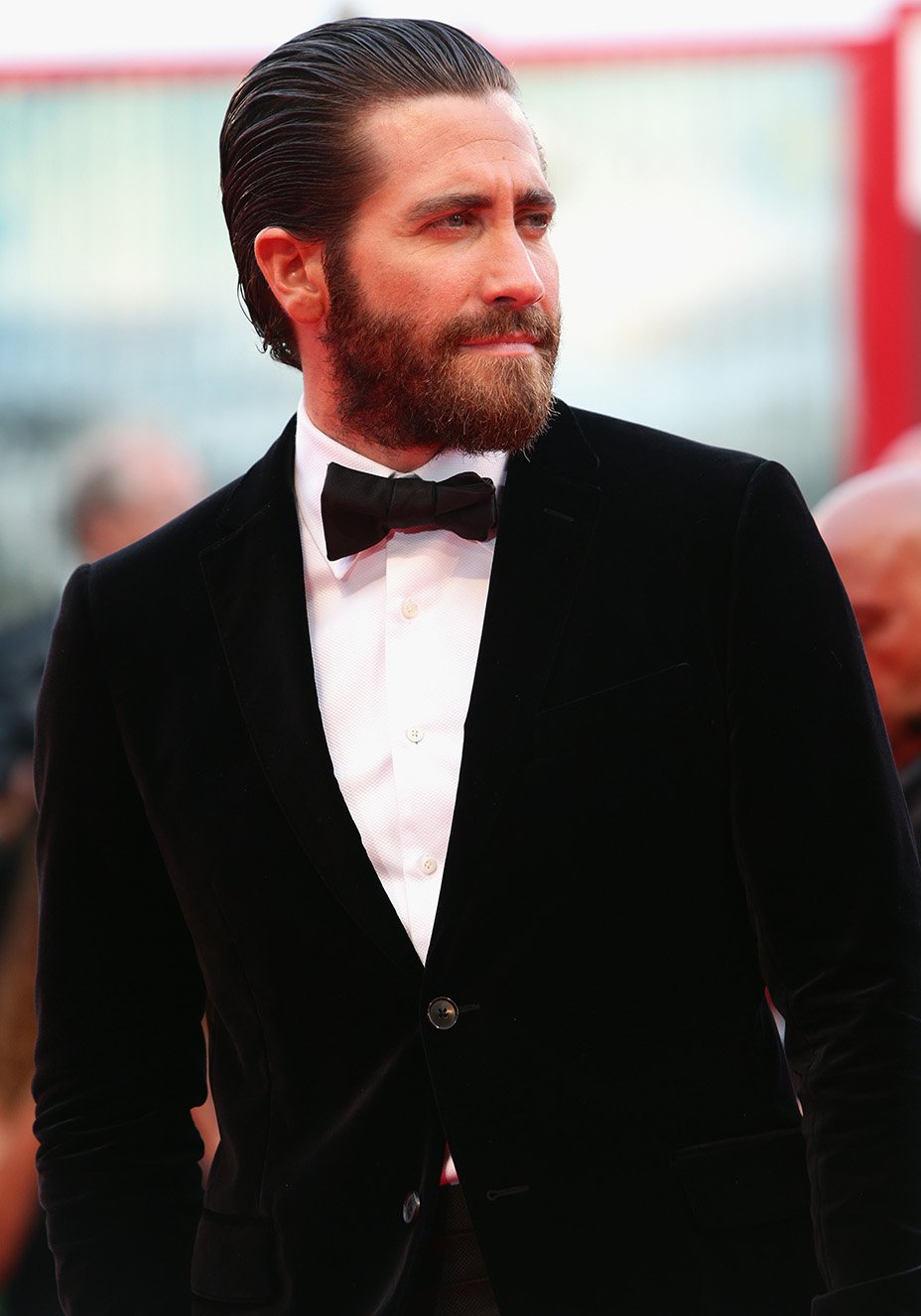 Os gatos do Festival de Cinema de Veneza 2015