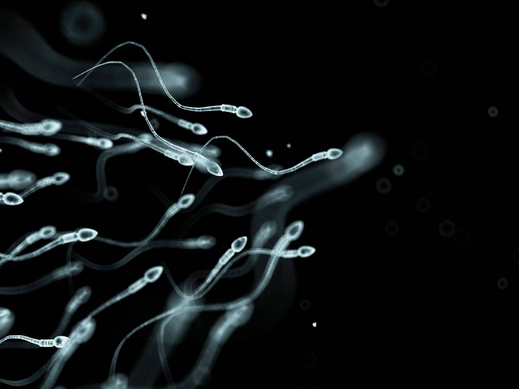 Saiba quais são os riscos de fazer uma inseminação artificial caseira