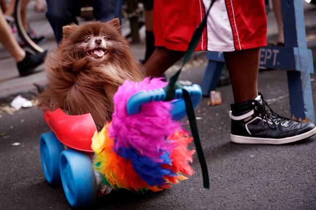 Parada LGBT de Nova York, em 2016 Parada LGBT de Nova York, em 2016