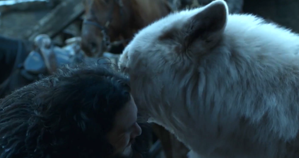 Jon Snow e Fantasma na 8ª temporada de Game of Thrones