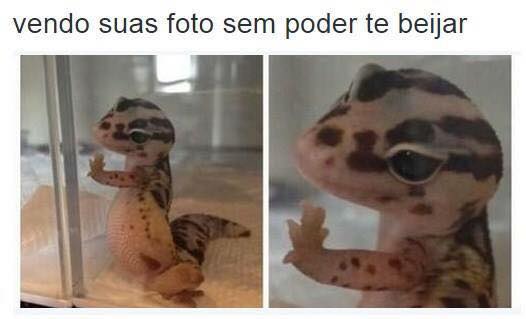 Meme para o crush