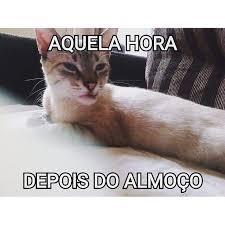 Reprodu&ccedil;&atilde;o