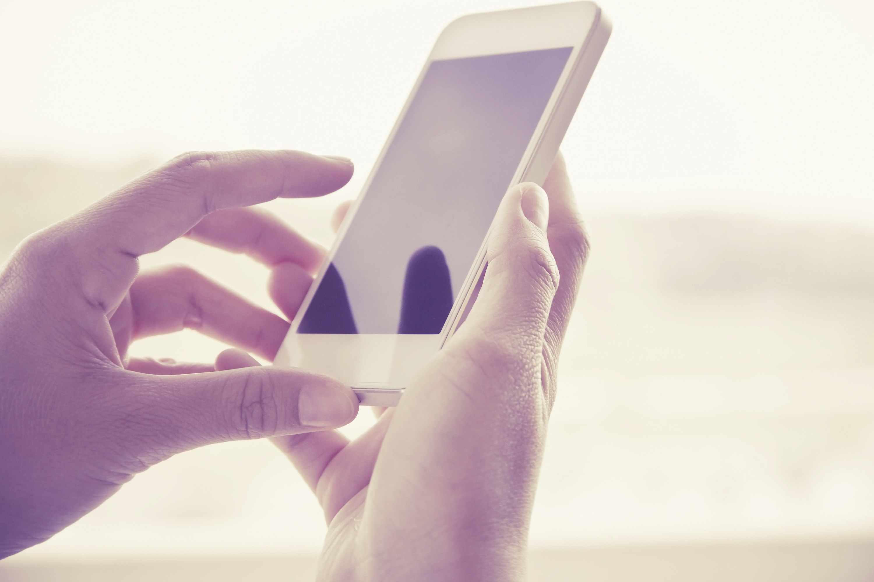 Divulga&ccedil;&atilde;o