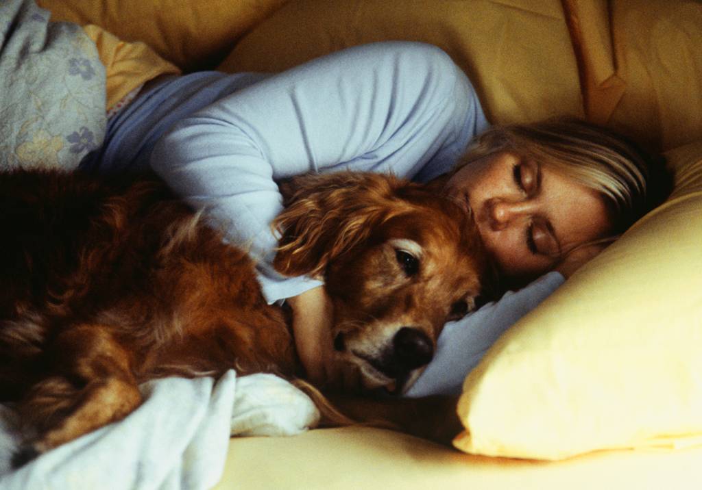 27 fotos que provam o quanto cachorros fazem parte da família