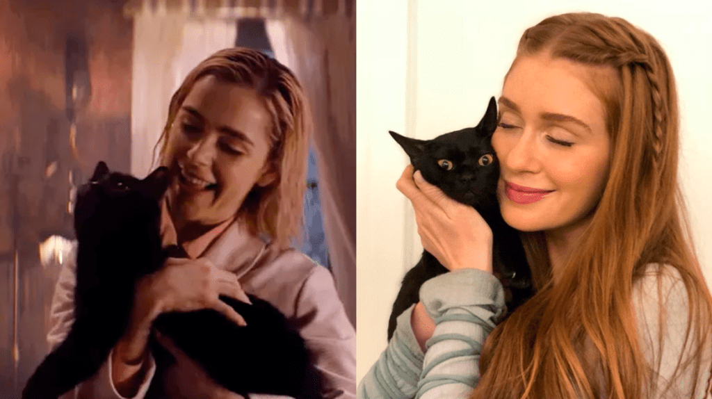 ‘O Sétimo Guardião’ mal estreou e a internet já pirou nas comparações