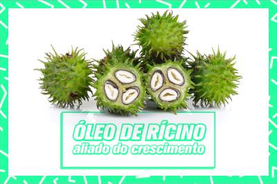 plusbelle_tiposdeoleo41
