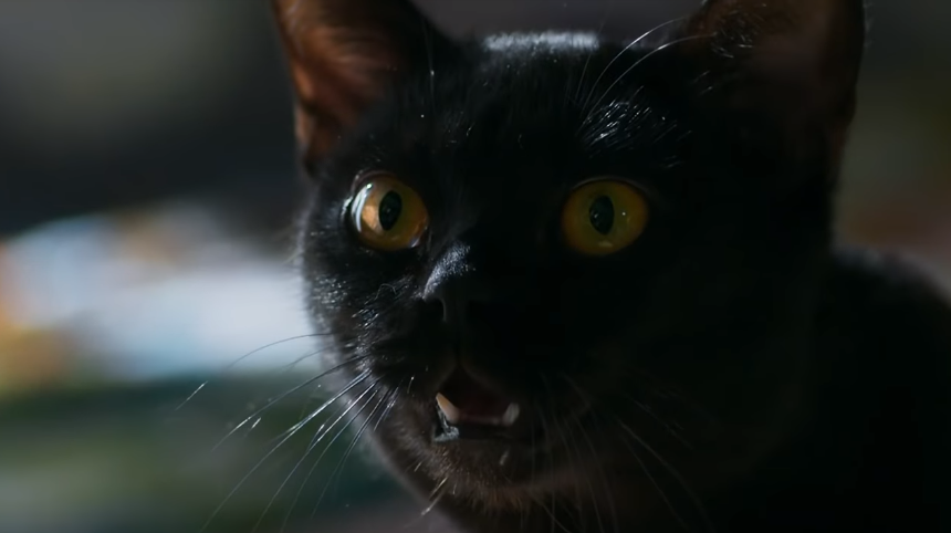 Gato León “vira homem” e salva Gabriel de tiro em ‘O Sétimo Guardião’