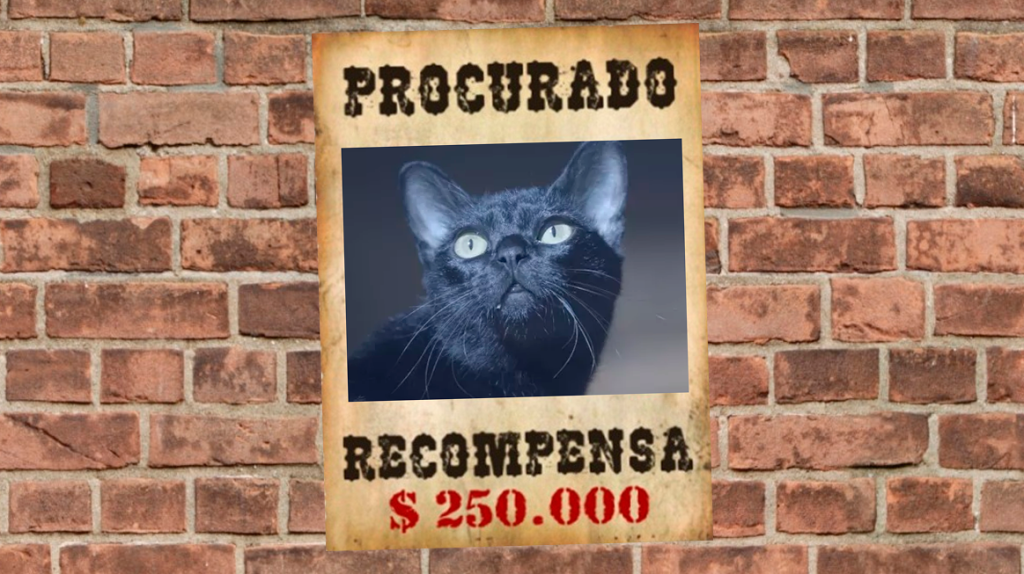 Valentina manda matar o gato León de ‘O Sétimo Guardião’