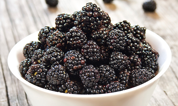 Seque 4 kg por mês com farinha de amora