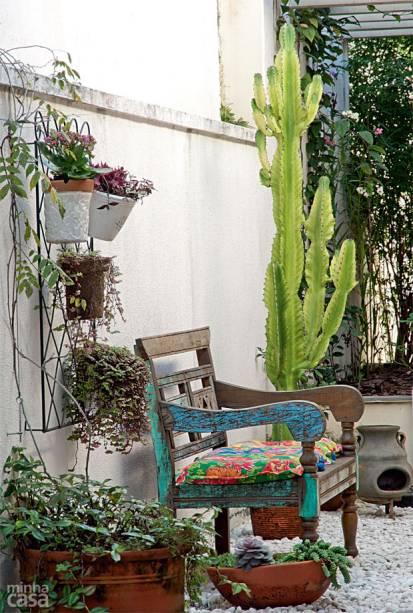 O quintal do paisagista inglês Iain Houghton, que vive na capital paulista, soma um majestoso cacto mandacaru (Cereu jamacaru) às suculentas dedo-de-moça (Sedum burrito), carpete-dourado (Sedum acre) e echevéria (Echeveria sp). “Para mantê-los viçosos, no começo da primavera uso adubo rico em nitrogênio.” O quintal do paisagista inglês Iain Houghton, que vive na capital paulista, soma um majestoso cacto mandacaru (Cereu jamacaru) às suculentas dedo-de-moça (Sedum burrito), carpete-dourado (Sedum acre) e echevéria (Echeveria sp). “Para mantê-los viçosos, no começo da primavera uso adubo rico em nitrogênio.”