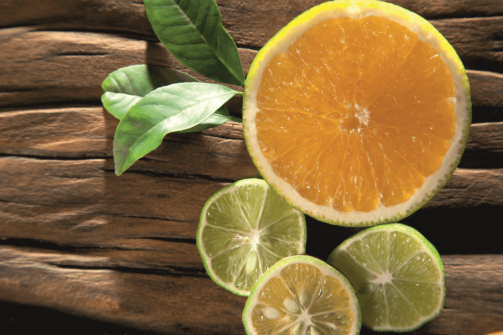 Aprenda a fazer água perfumada para ambientes e tecidos