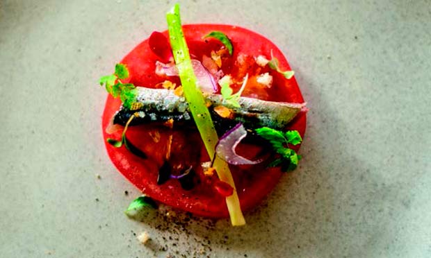 receita-de-salada-de-tomate-e-sardinha