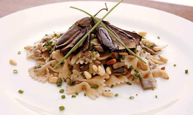 Farfalle com berinjela, anchovas e pinhole
