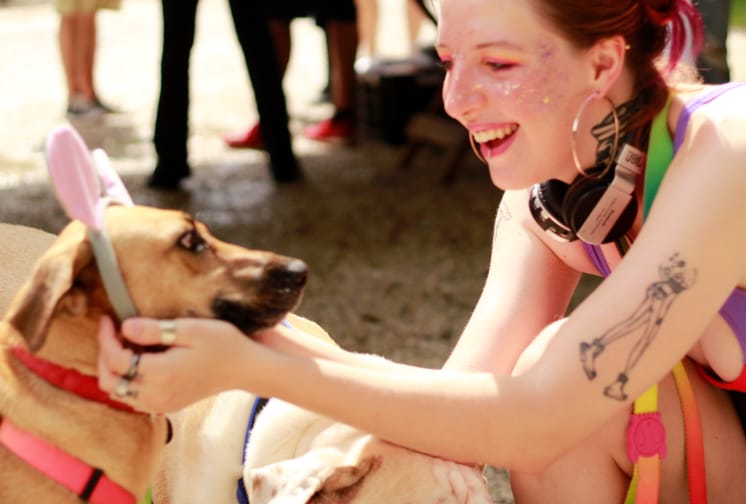 Bom pra cachorro: blocos pets invadem o carnaval de rua