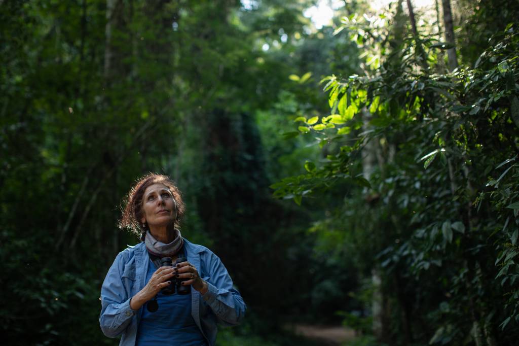 Karen Strier – reserva de Mata Atlantica em Caratinga-MG Karen Strier – reserva de Mata Atlantica em Caratinga-MG