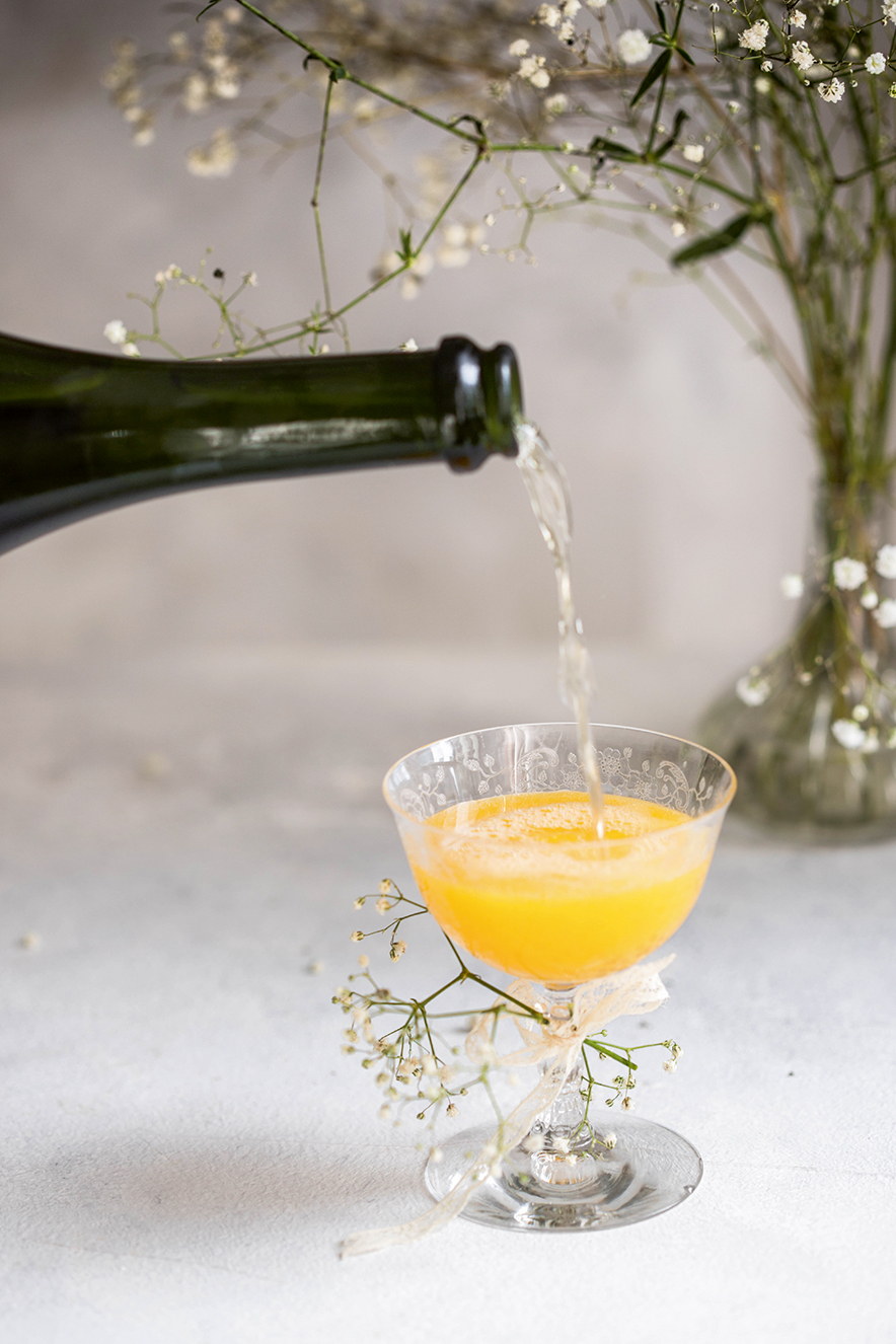 Mimosa Mimosa