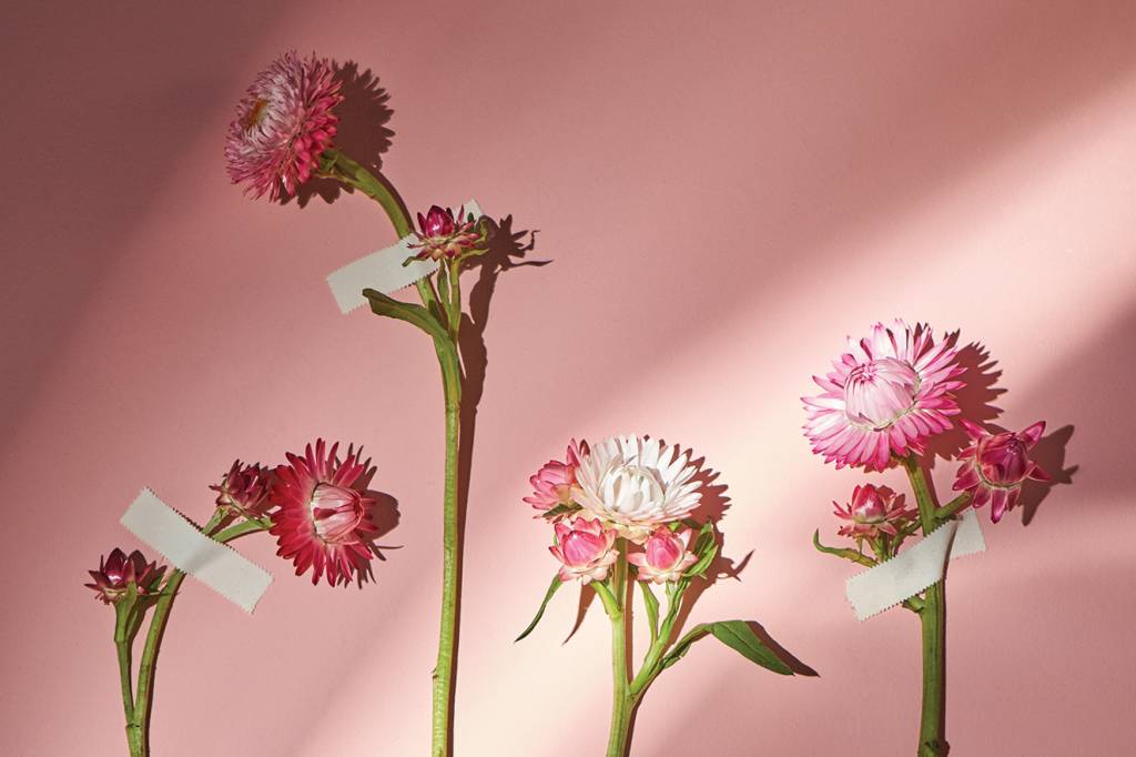 A pandemia deixará o maior luto da nossa história