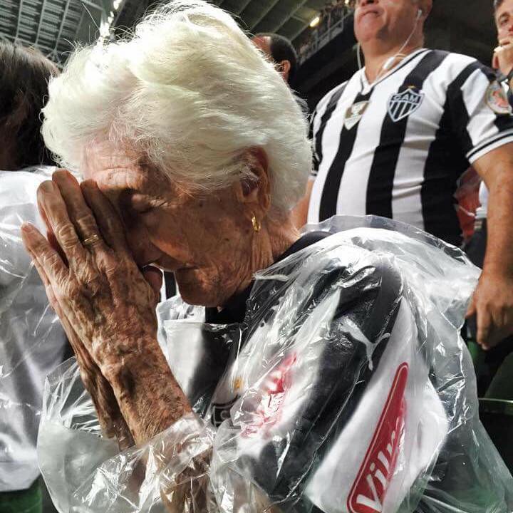 vovo-do-galo