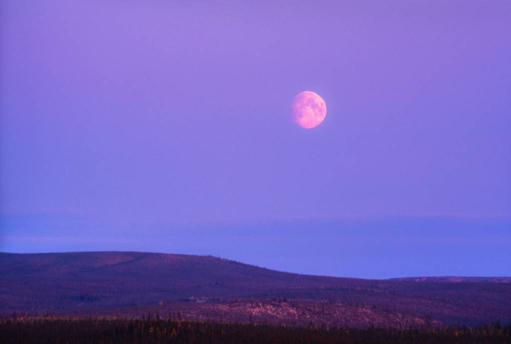 Superlua rosa, a primeira de 2021, acontece na próxima semana