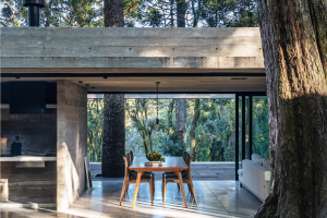 A Casa Fortunata se mimetiza na natureza ao redor de uma Araucária