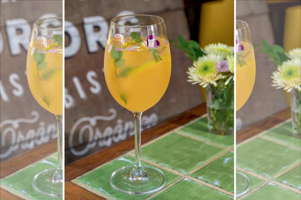 Drinque botânico (gim e kombucha)