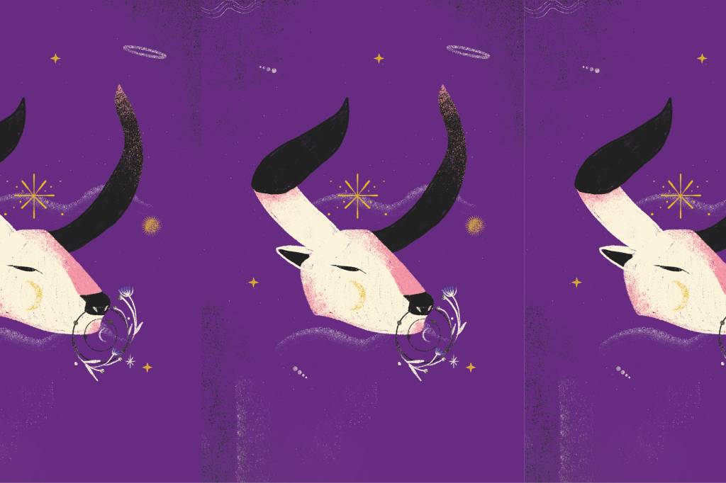 Horóscopo da Susan Miller: as previsões para cada signo em maio