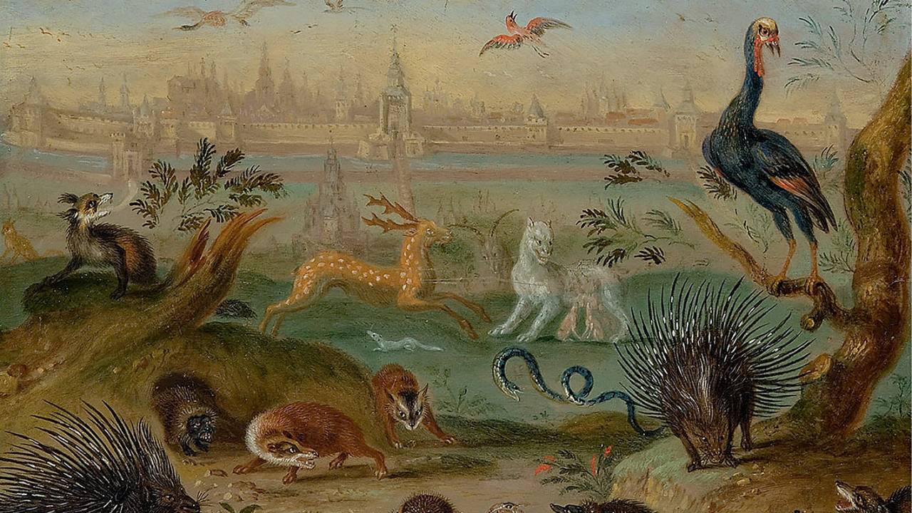 Os animais de poder trazem revelações acerca de nossa personalidade.