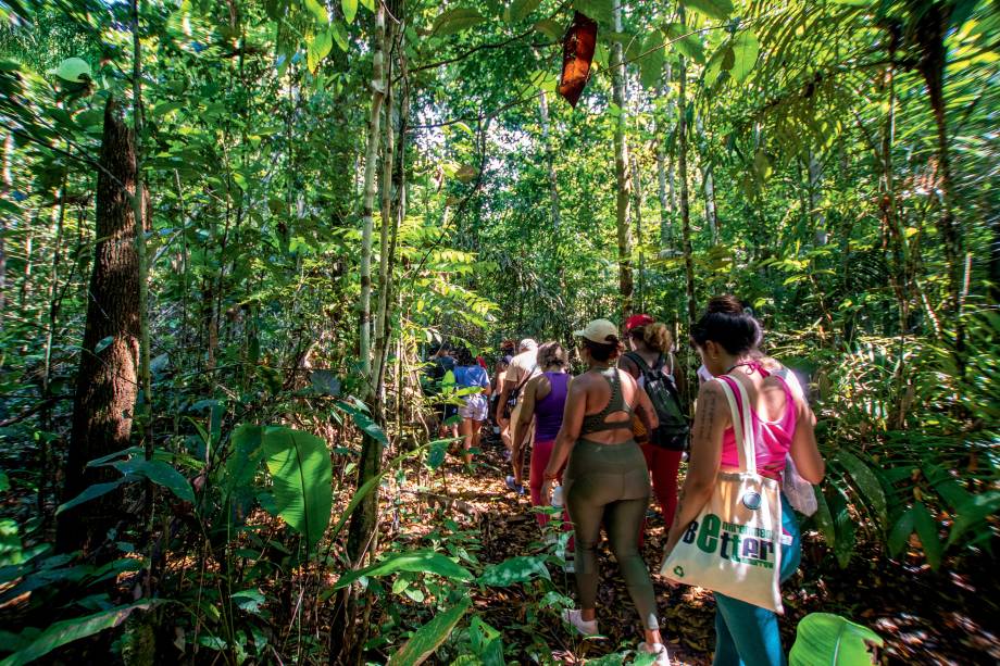 A trilha na Floresta Amazônica é uma das atividades de imersão proporcionadas pela comunidade de Tumbira. A trilha na Floresta Amazônica é uma das atividades de imersão proporcionadas pela comunidade de Tumbira.