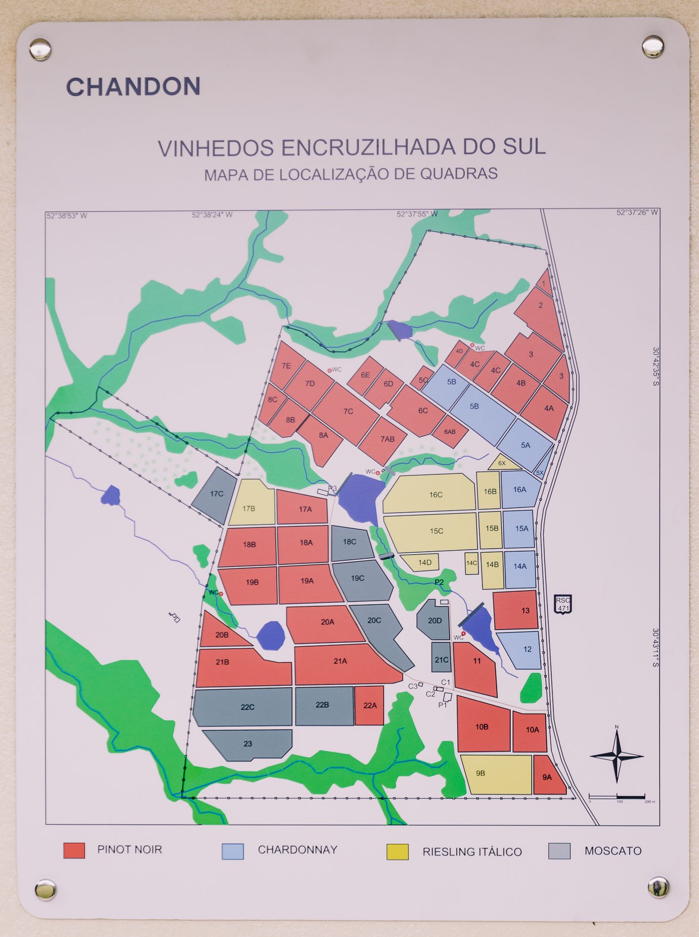 Pinot Noir, Chardonnay, Riesling It&aacute;lico e Moscato s&atilde;o as uvas cultivas na vin&iacute;cola da Chandon, em Encruzilhada do Sul