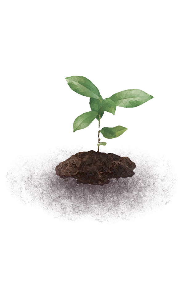 financas-materia-vertical-interna- O ser humano tem um mecanismo natural para ajudar e servir o próximo. Mas também para se proteger.